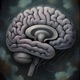 Hippocampus EP