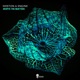 Despite the Matters EP