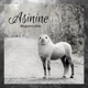 Asinine