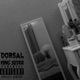 Dorsal Single