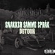 Snakker samme språk Detour Single