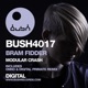 Modular Crash Single