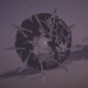 wydma EP Single