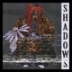 Shadows Single