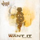 Want It Spor Remix Single