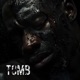 TOMB Single