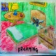 Dreaming Single