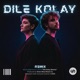 Dile Kolay Zeyn Remix Single