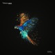 Jungle Voices Single