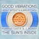 Good Vibrations the Sun s Inside feat J Rokka Single