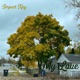 My Love Single