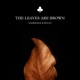 The Leaves Are Brown feat Hucci Single