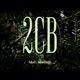 2CB feat Emoneybagg Single