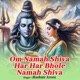 Om Namah Shiva Har Har Bhole Namah Shiva Single