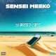 20 Missed Calls Single