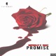 promise feat Vart Single