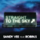 Straight To The Sky feat Robin S Single