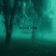 In the Fog Sped Up Single