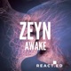 Awake Single