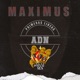 Adn Primeras Lineas