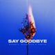 Say Goodbye Single
