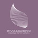 Origin Destination Single