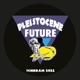 Pleistocene Future 3 EP