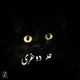 حد دوغرى Single