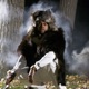 Last of the Mohicans Single