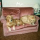 Shadows Pt 3 Single