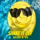 SHAKE IT OFF Radio Edit Single