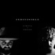 Indivisible feat Zhero Single