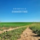 Summertime Single
