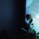i d never thought be left alone feat 3LIARS Single