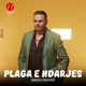 Plaga e ndarjes Single