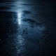 Regen auf Asphalt Single