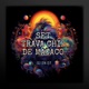 Set Trava Chip De Macaco Single