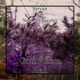 Goin Thru Hell feat Neal Alexander Single