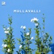 Mullavalli Single