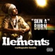 Skin a Burn EP