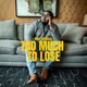 Too Much to Lose Single