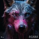 Scars Single
