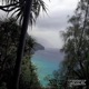 What It Cost feat Xfujioka Pradaaslife Single
