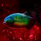 Carne de Piranha Single