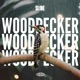 Woodpecker Single