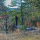 Tall Grass feat NTAHaze Single