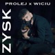 Zysk Single