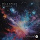 Wild Space Single
