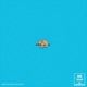DND Single