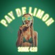 Pay de Limón Single